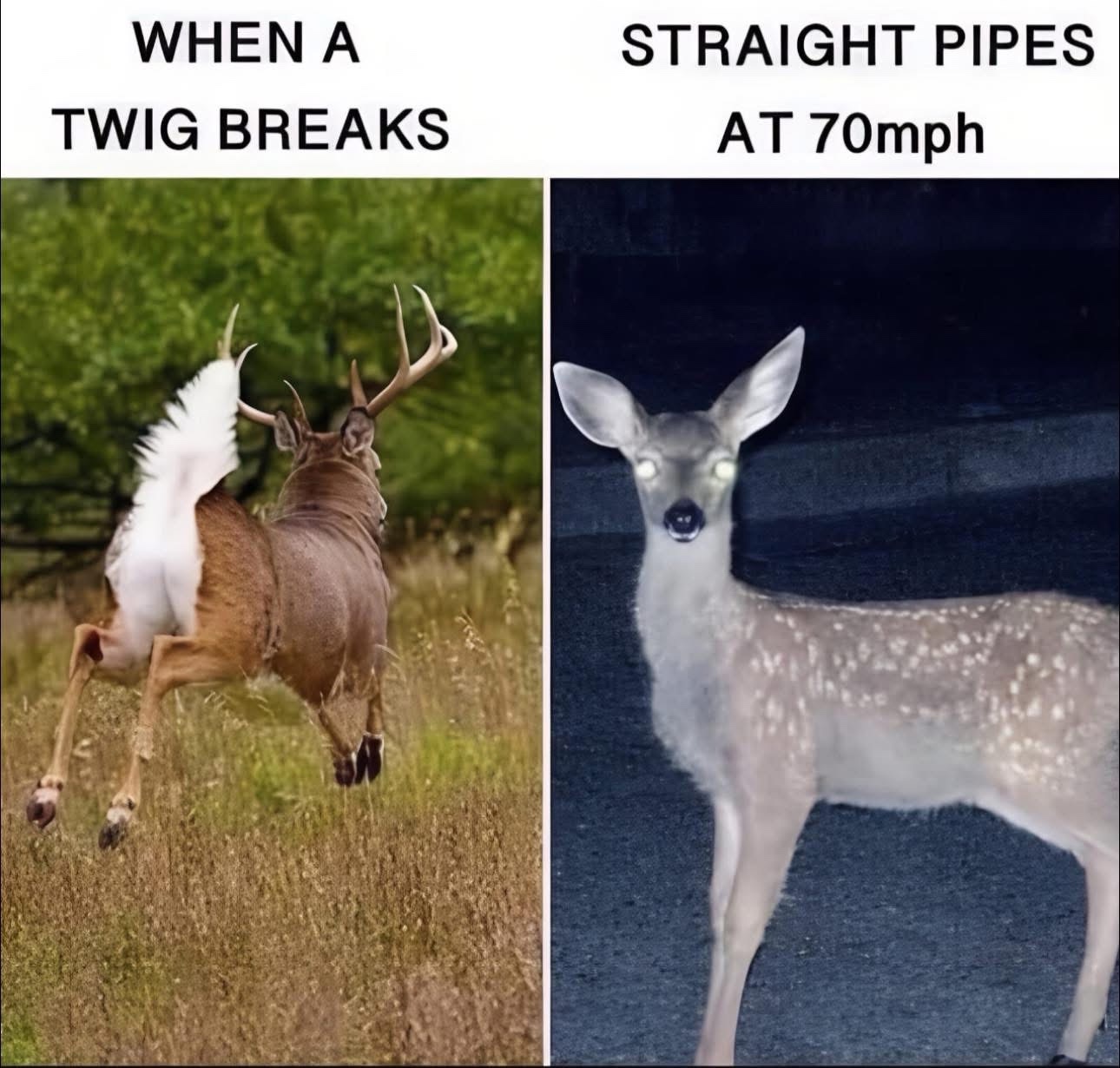 Stay Alert and Watch Out!