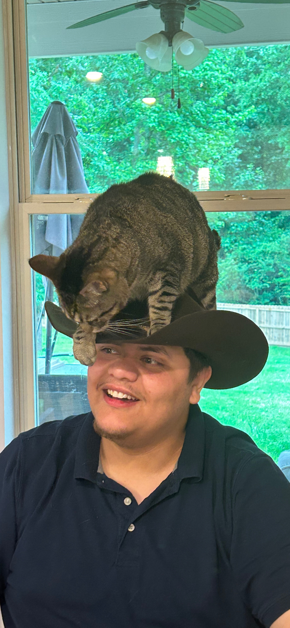 You've heard of the Cat in the Hat, but have you seen the Cat on a Hat?