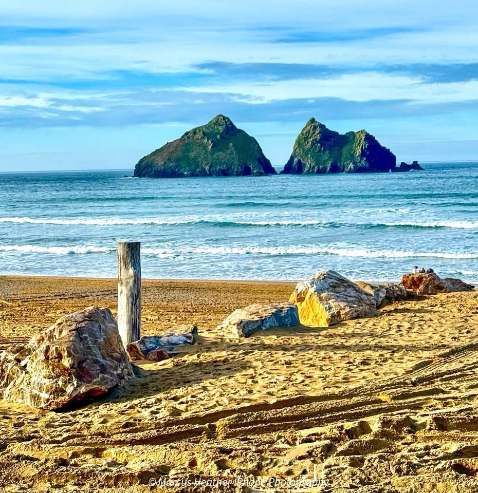 A Day at the Bay: Serenity Awaits