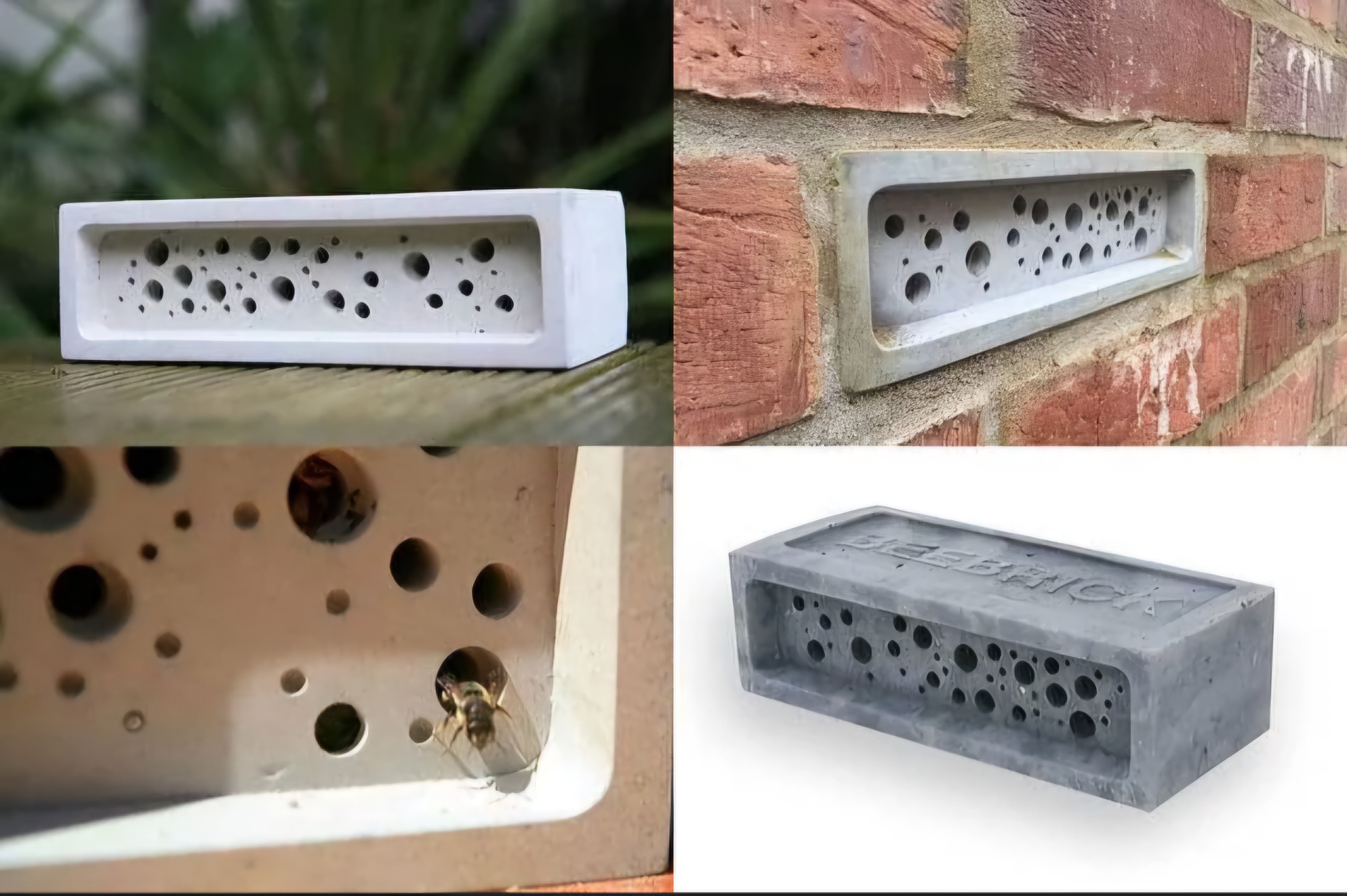 New Brighton Homes Must Include Bee Bricks for Solitary Bees