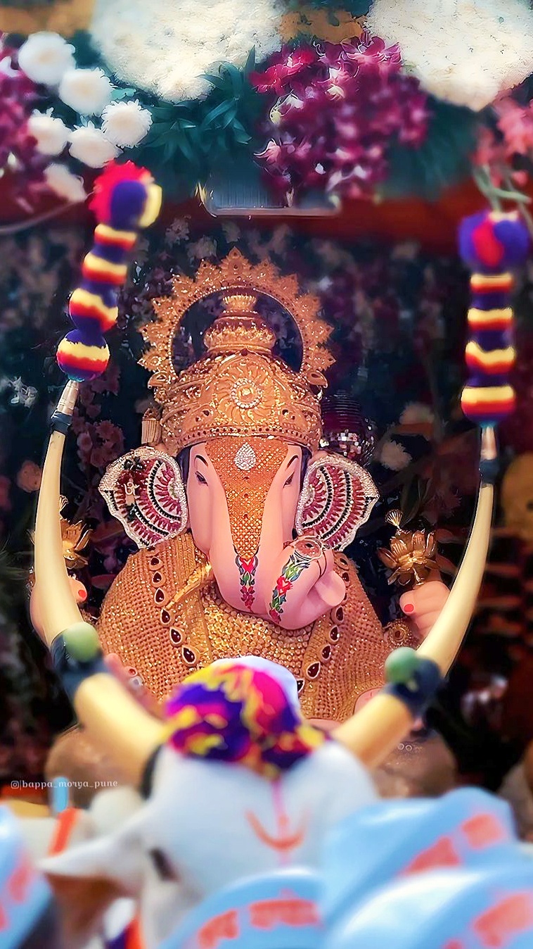 Bappa: A Celebration of Culture