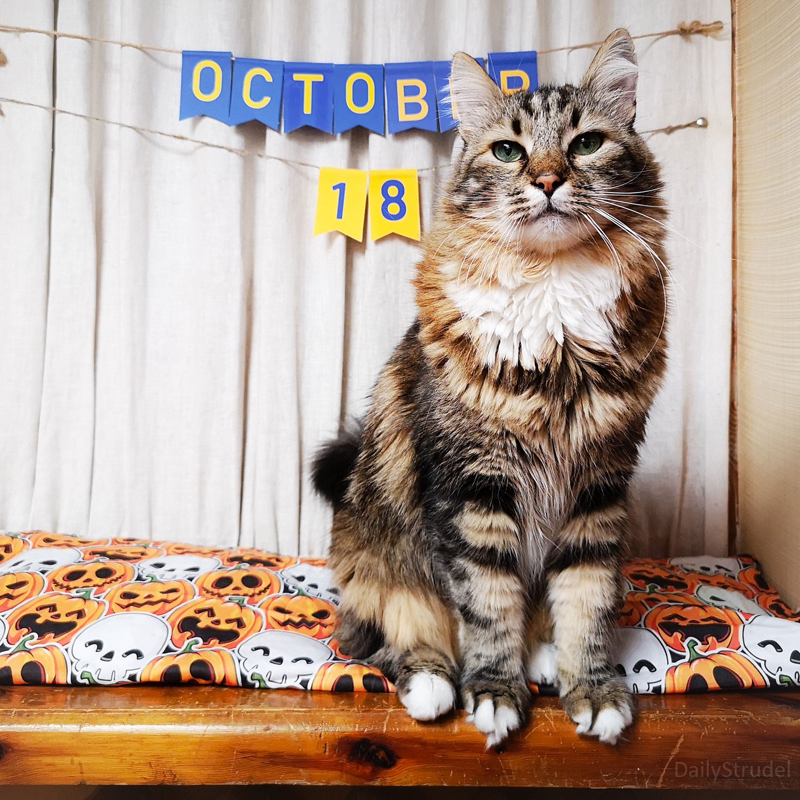 Mark Your Calendars: October 18 is Here!