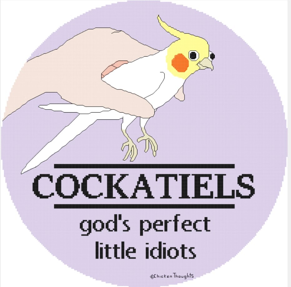Crafting Magic: My Cross Stitch Inspired by Chicken Thoughts (With Permission)