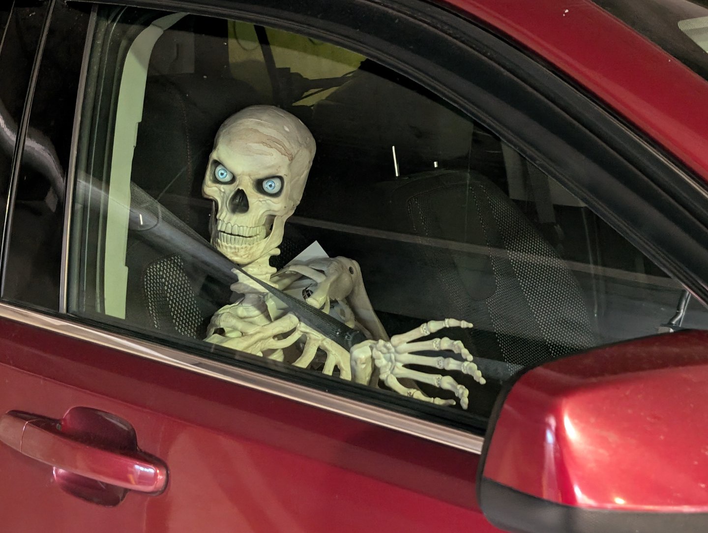 My Parking Deck is Lit: Neighbor's Dog Can't Handle the Excitement!