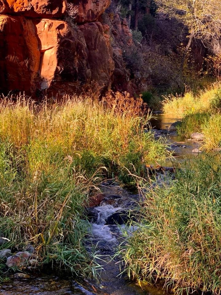 Let's Dive into the Stream