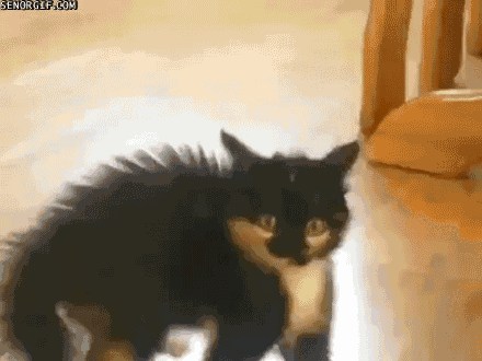 Dive into Nostalgia with Our Retro Gifs Collection: Part 9!