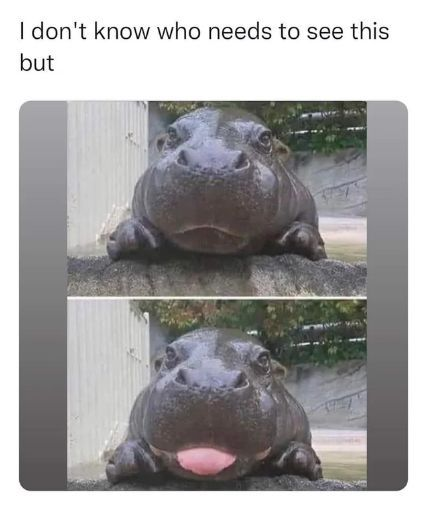 This one's for you!