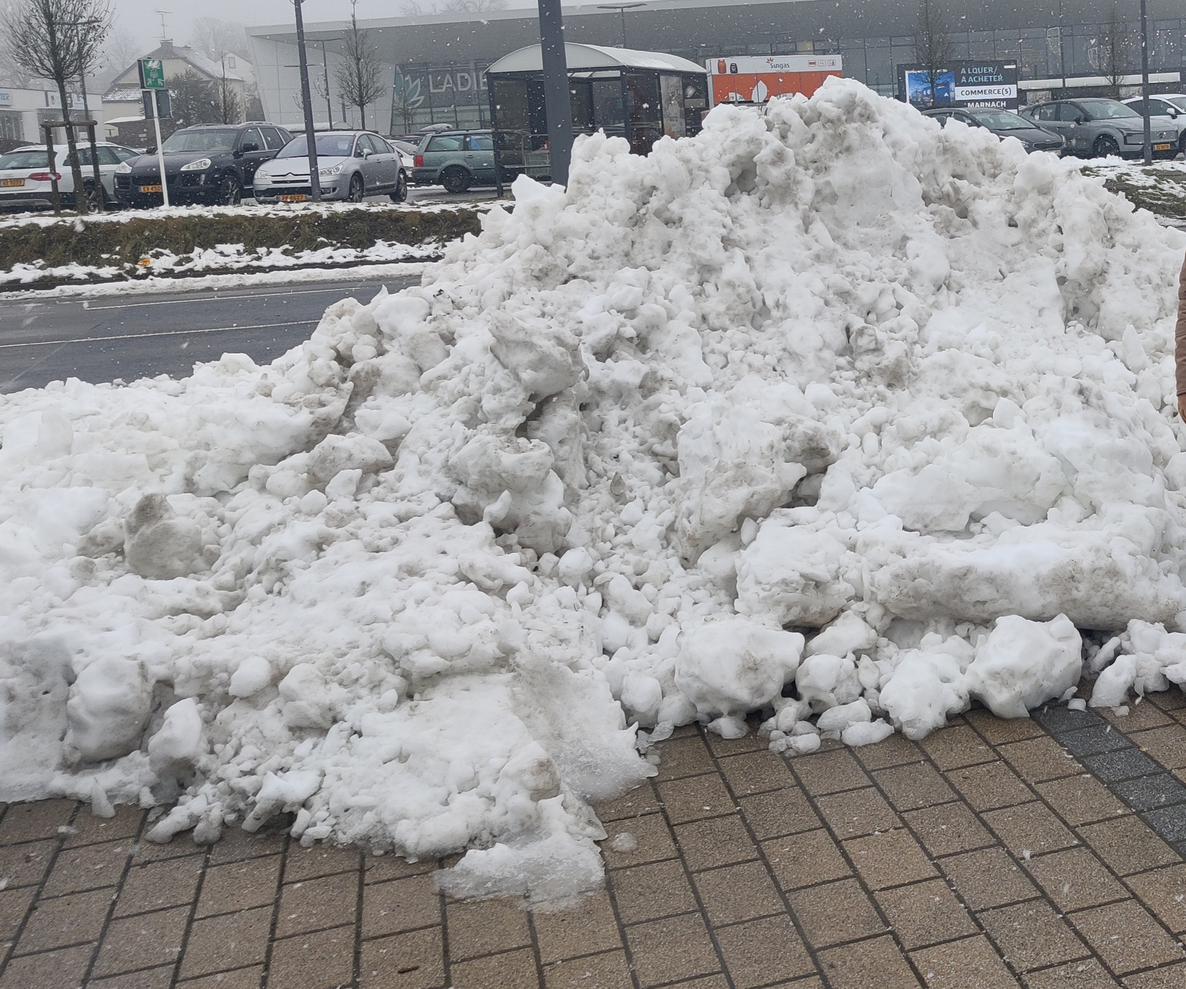 Winter Woes: The Struggles of Cold Weather