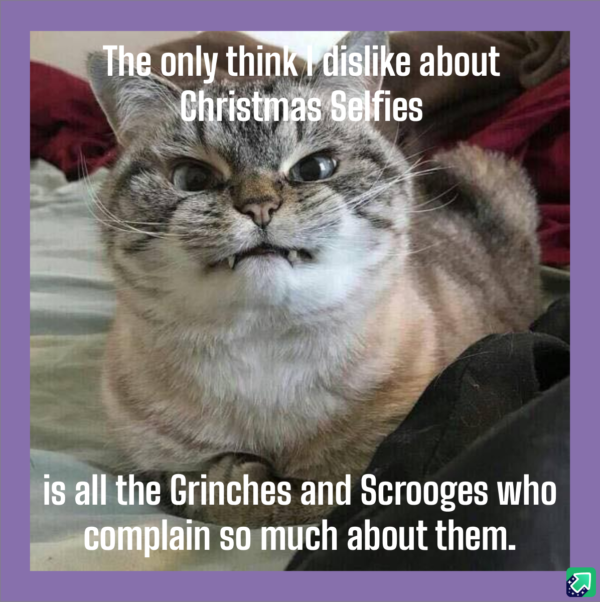 Bah, Humbug! The Grinch Vibes Are Strong!