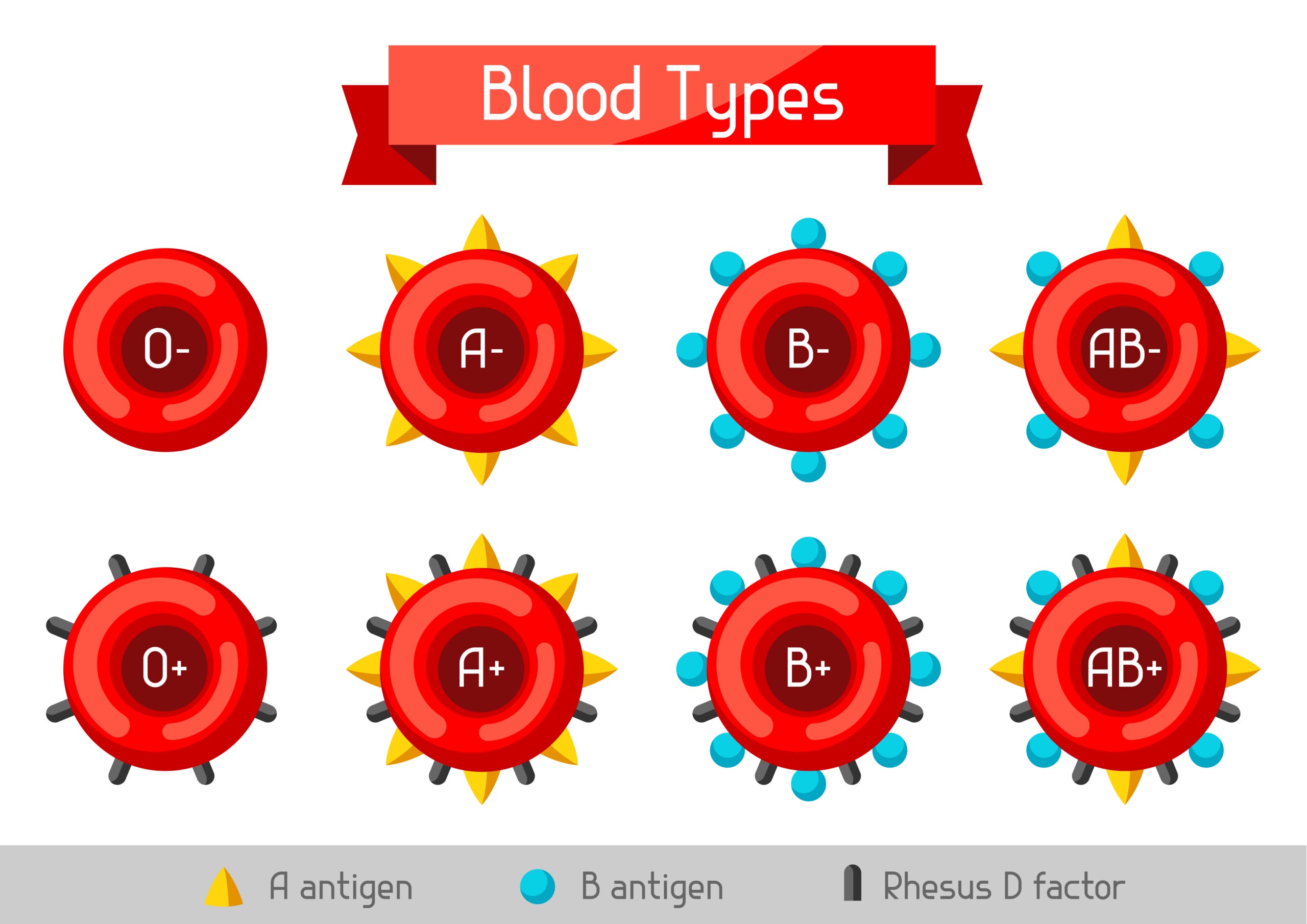 Understanding Blood Types: What's the Science?