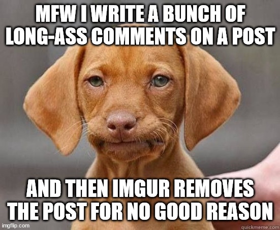 When Imgur Mods Go Wild: A Hilarious Journey