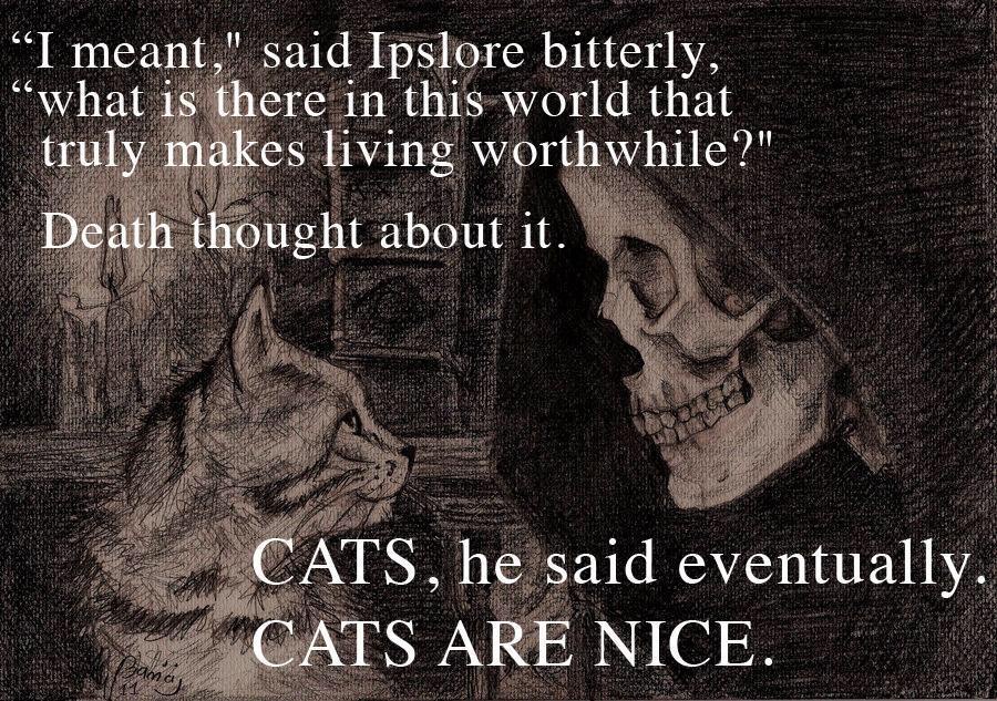 Cats are truly wonderful companions.
