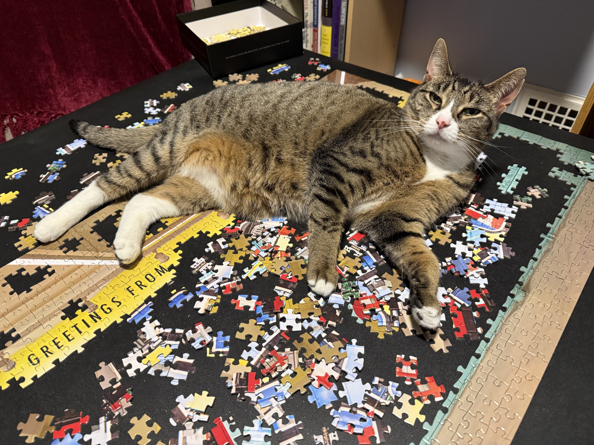 She just can't resist the allure of a good puzzle!