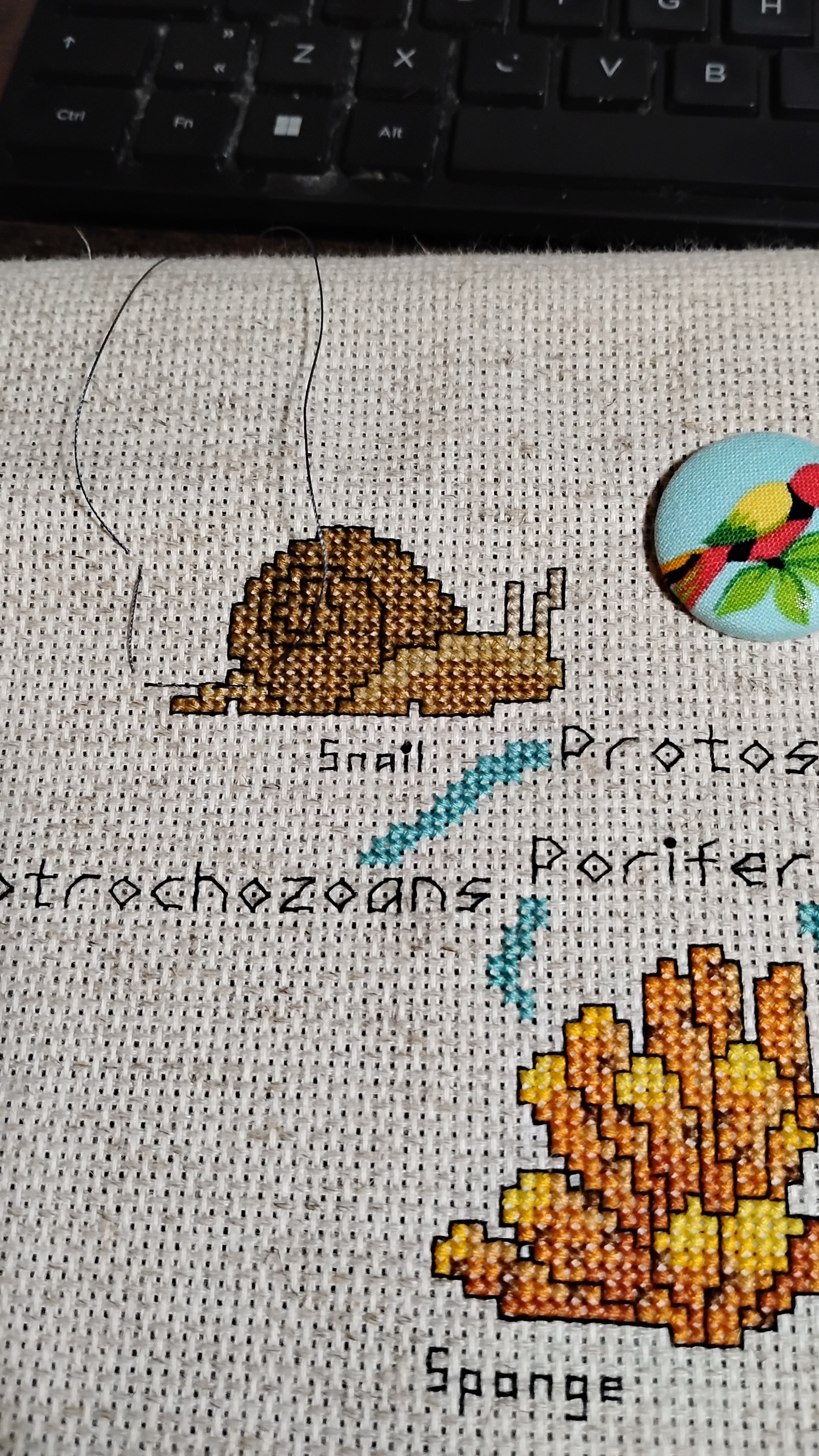 Stitching Together the Tree of Life: Part 2 Featuring a Snail