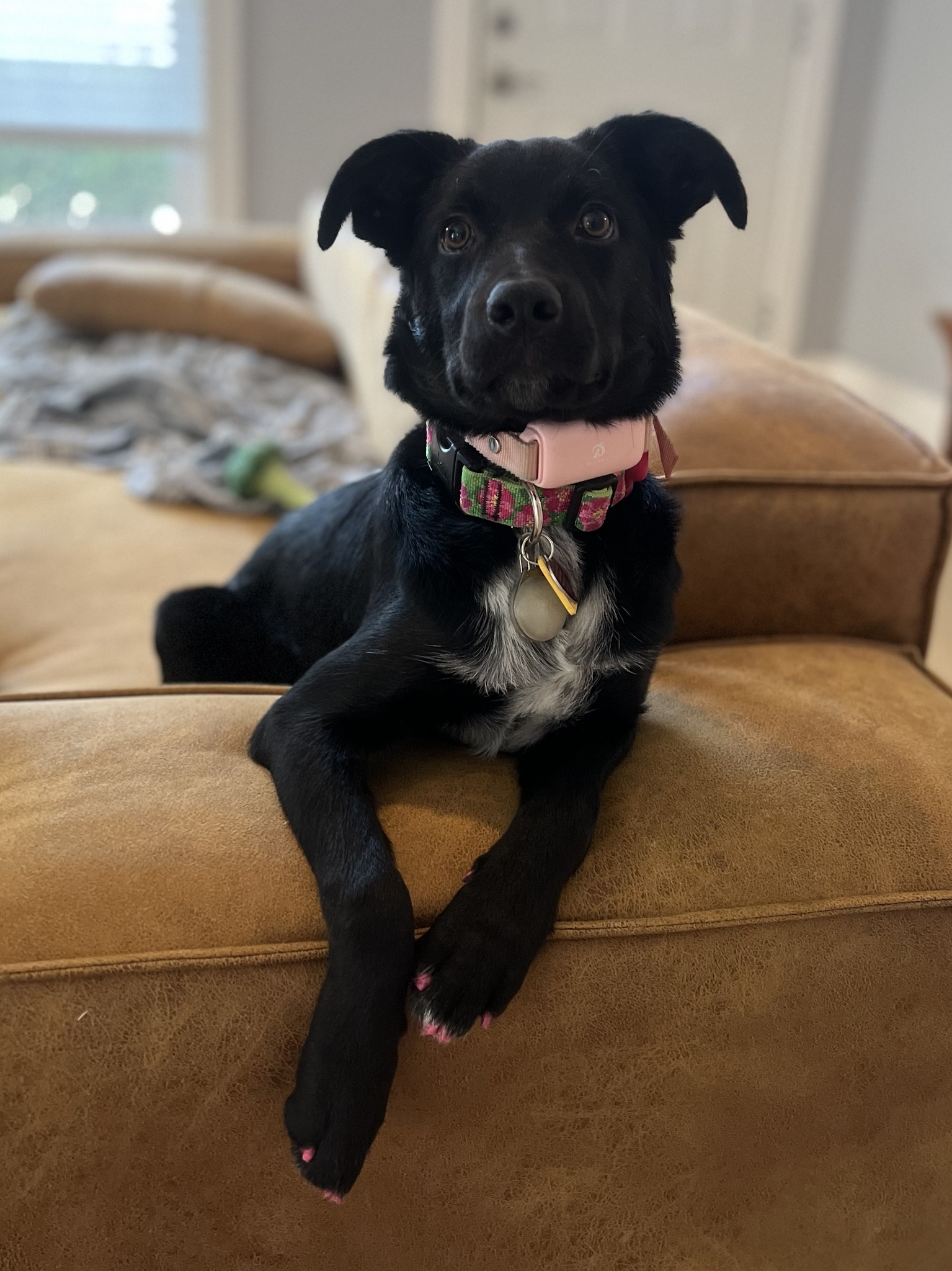 The Hilarious Adventures of Silly Tilly