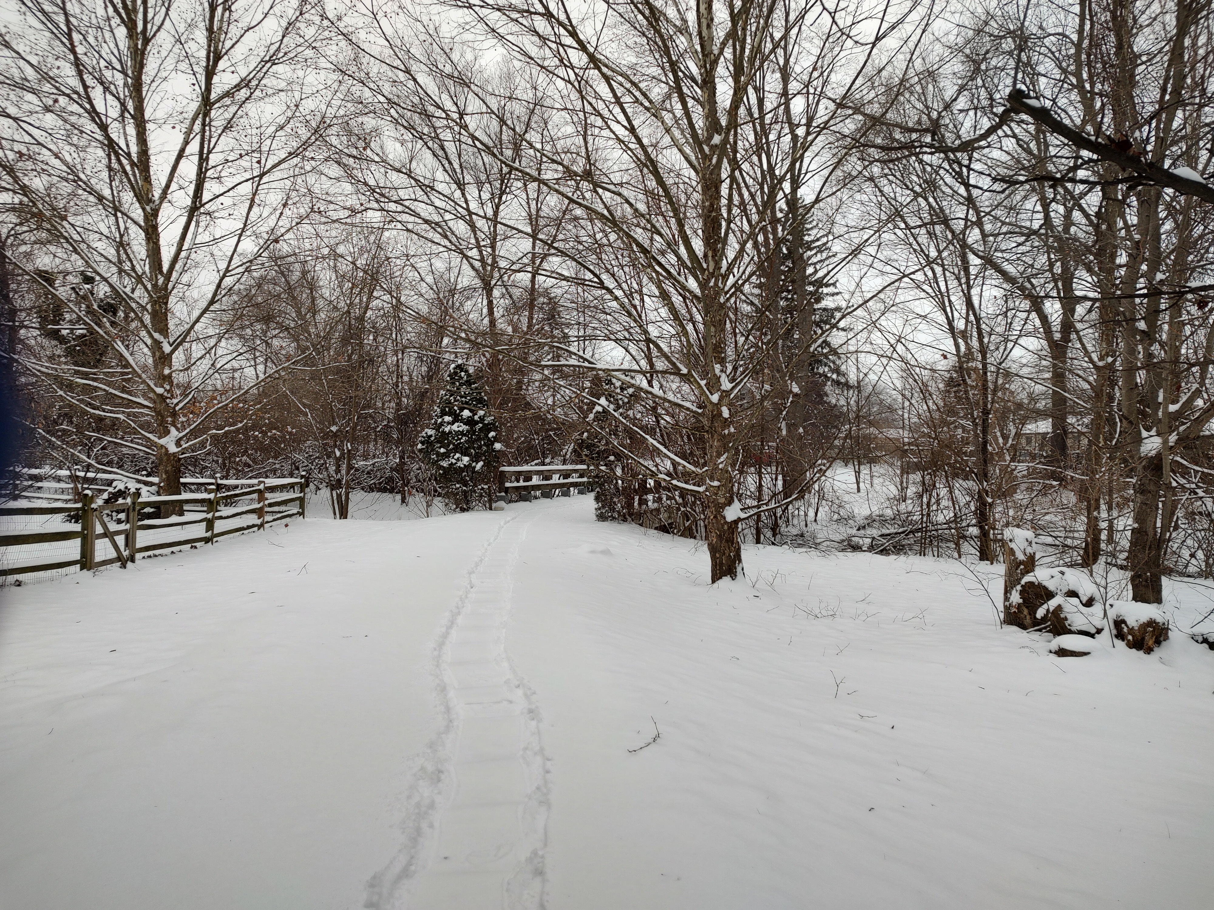Snow Day Adventures - January 6, 2025