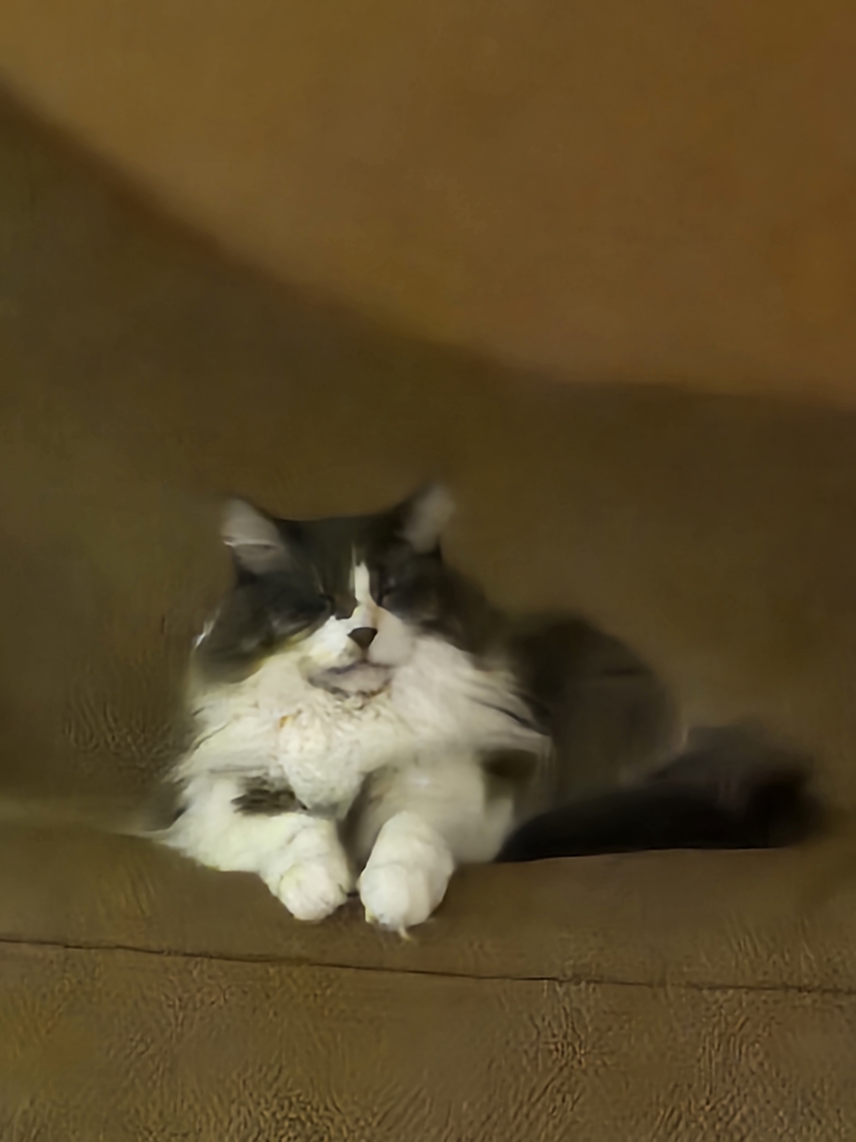 Prepare yourself for some hilariously bad photos of Winston!