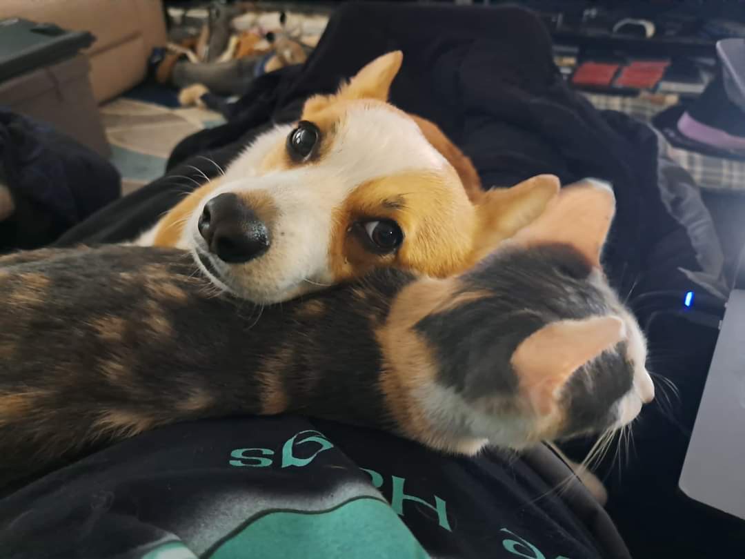Angel's Love for Jasmine is Unmatched!