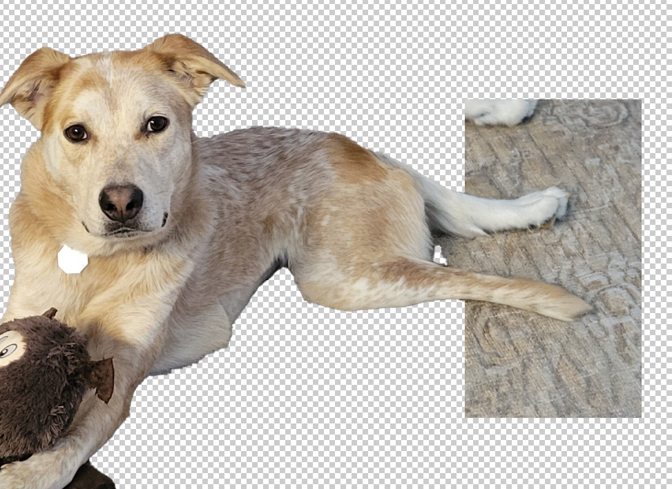 Exploring the Wonders of Adobe's Generative AI