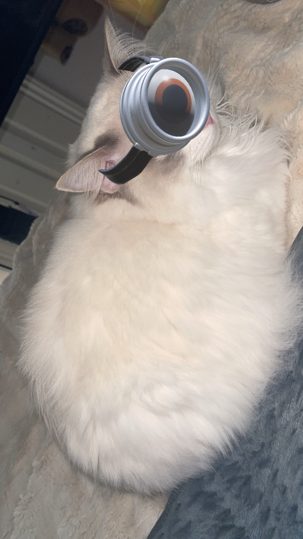 Meet the Adorable Minion Twinkie!