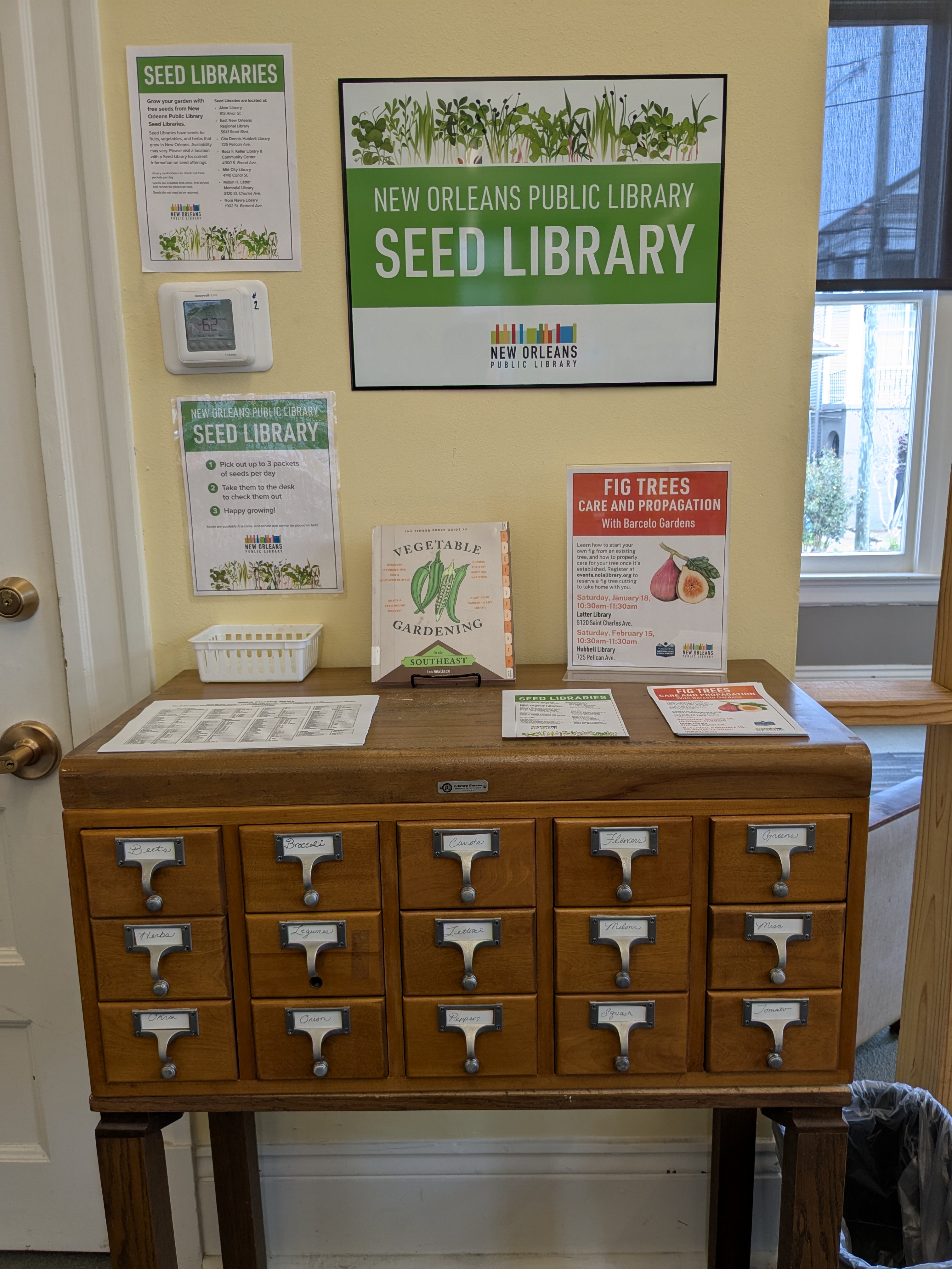 Exploring the Wonders of a Seed Library