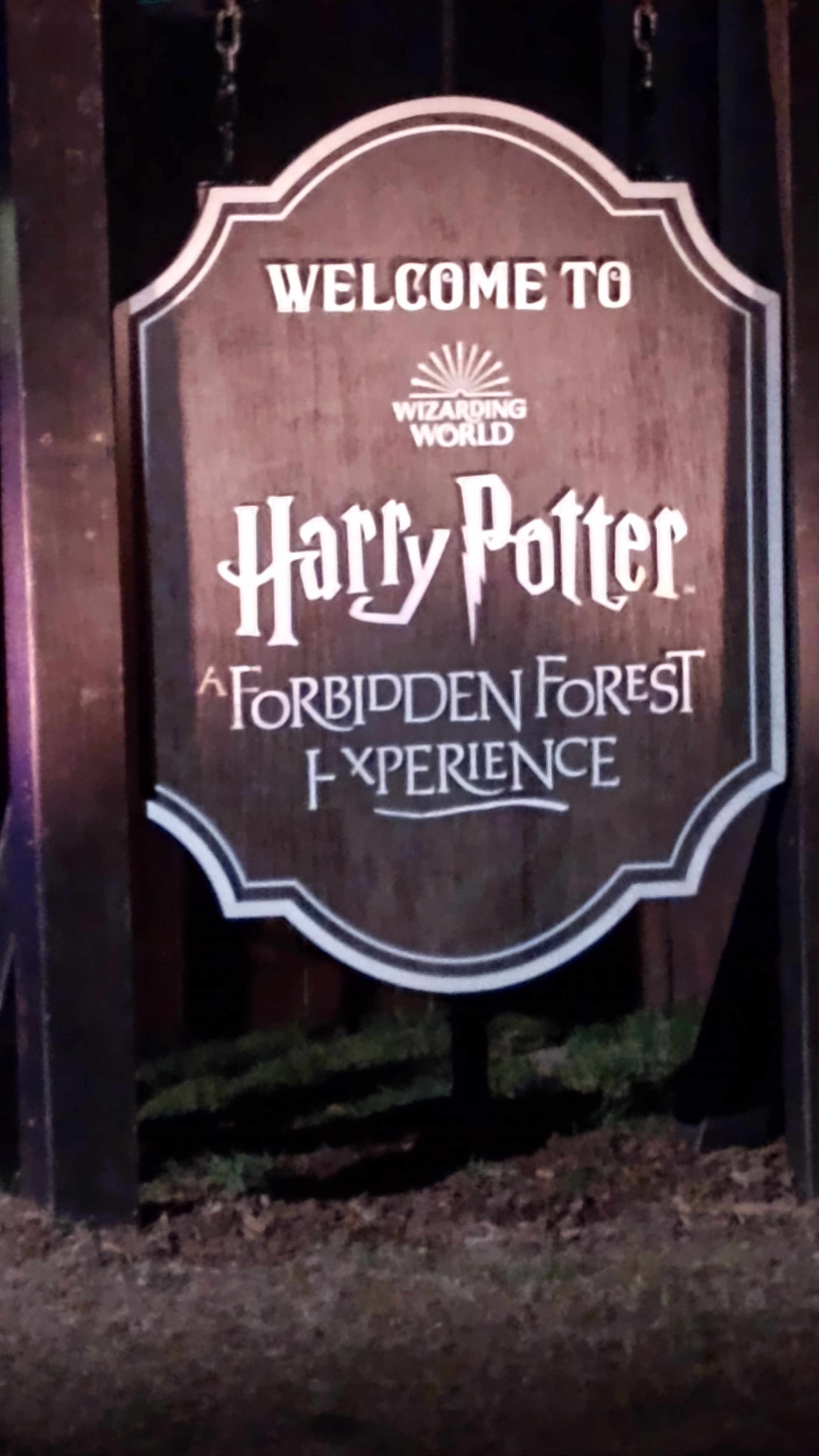 Embark on the Harry Potter Forbidden Forest Adventure