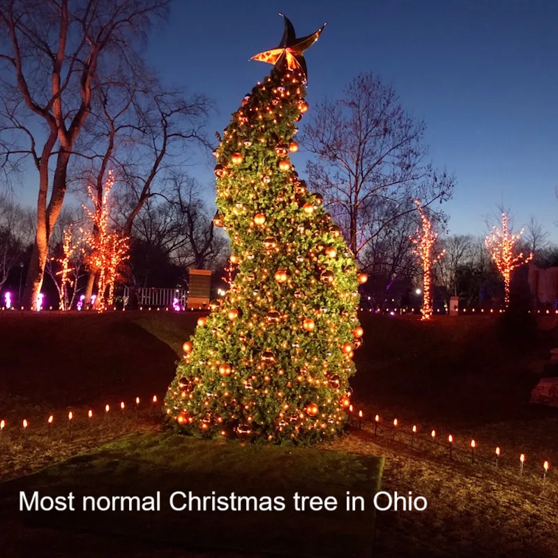 The Most Ordinary Christmas Tree You'll Find in Ohio
