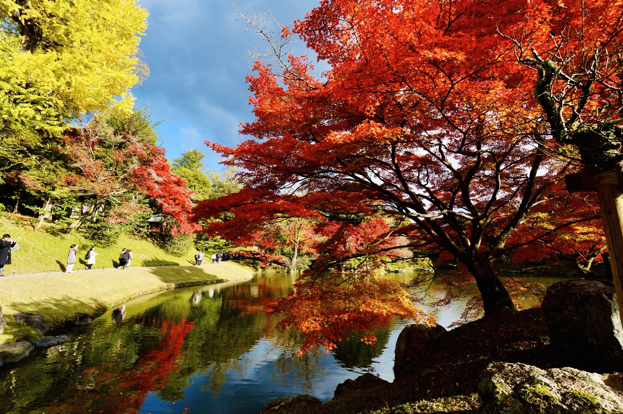 Exploring Kyoto-3: A Journey Awaits