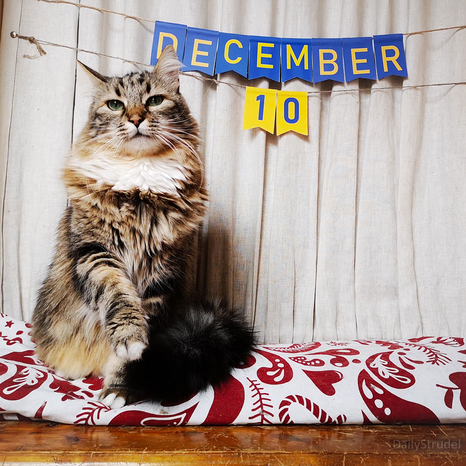 Mark your calendars for December 10