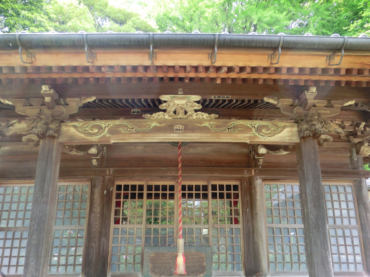 A Beautiful Day in Shimizu Park, April 2015
