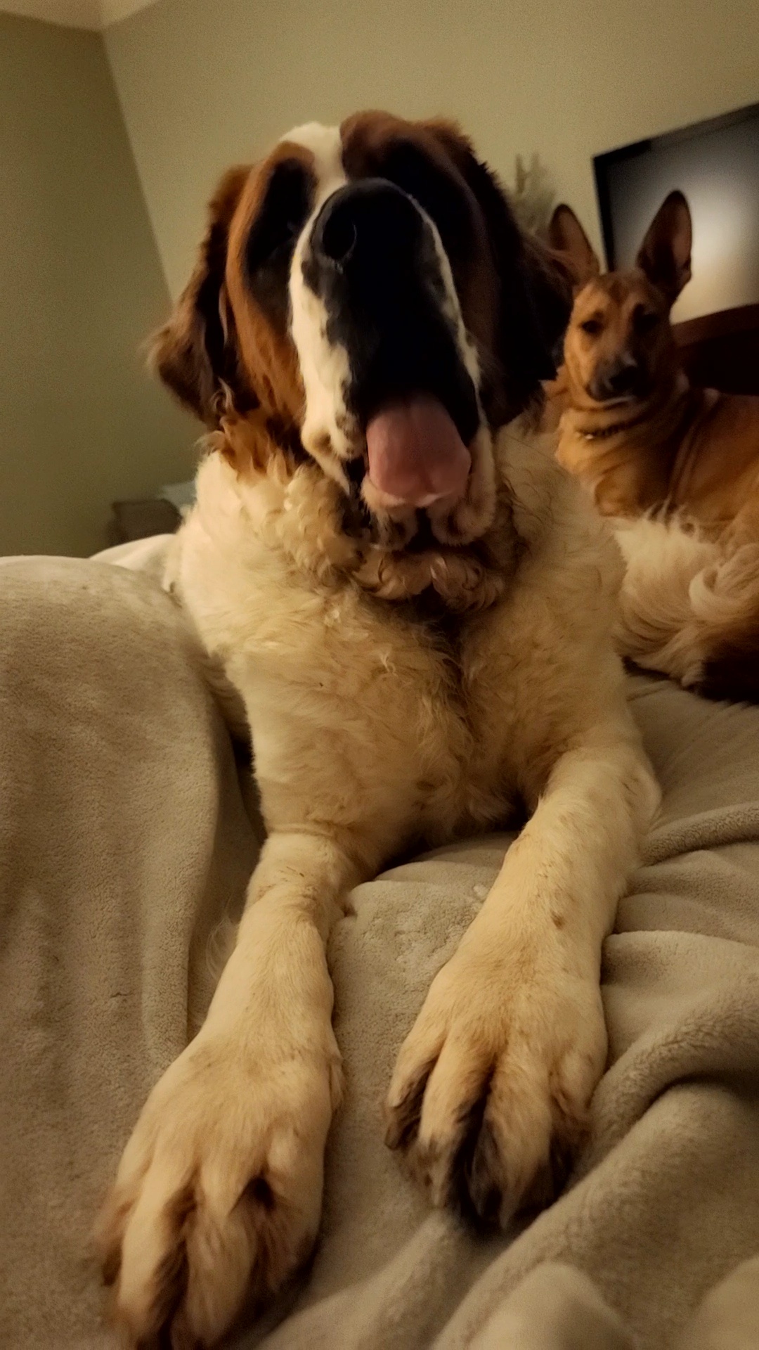You're sitting in my favorite spot!