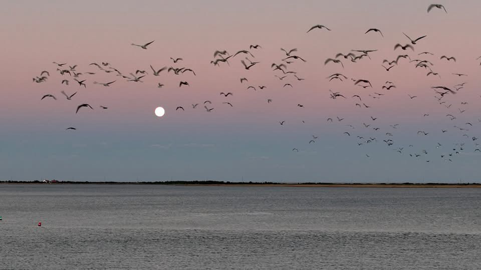 The Mystical Full Moon