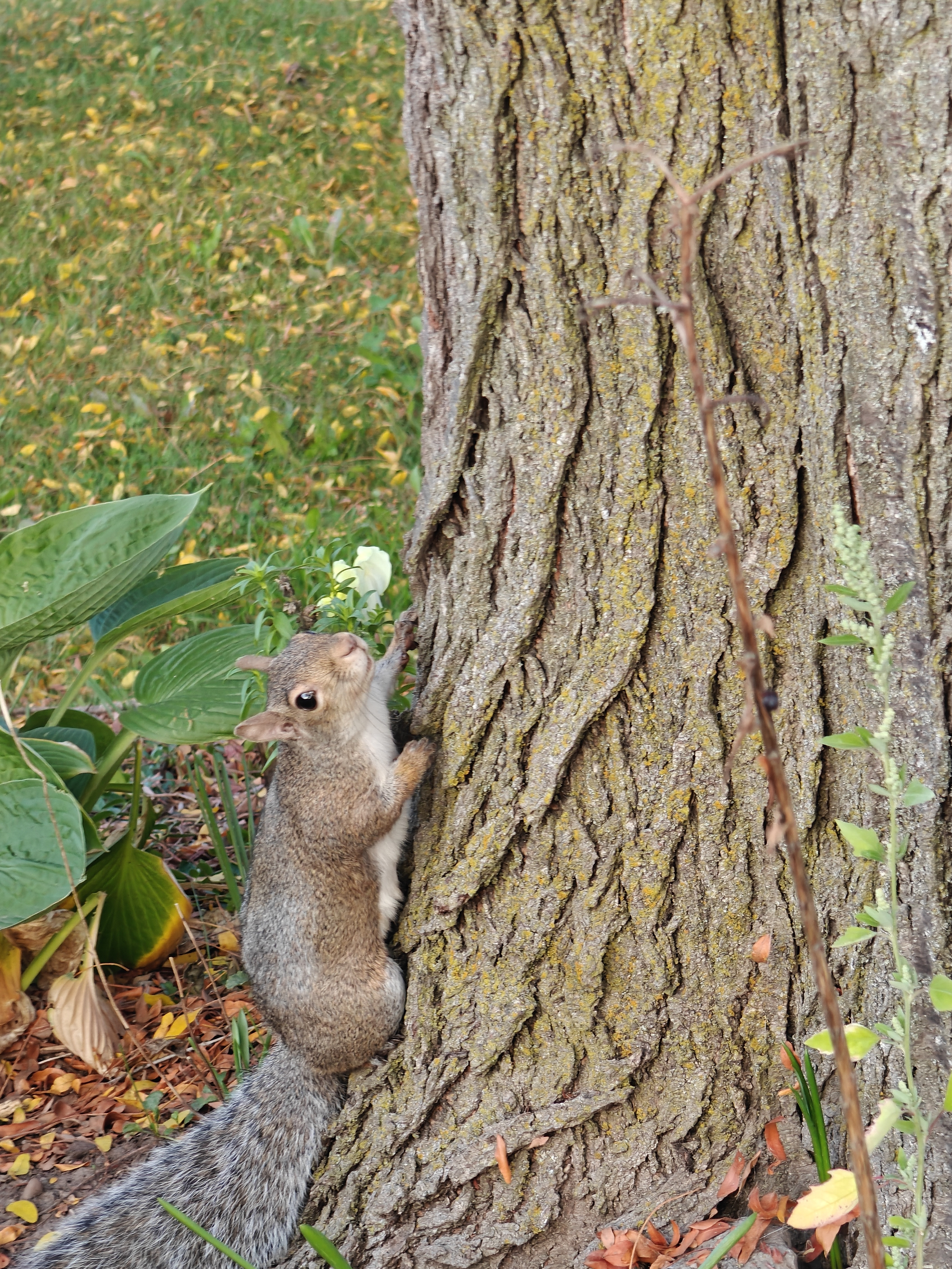Join me for a peaceful moment in nature