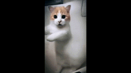 Let's Get This Dance Party Started!