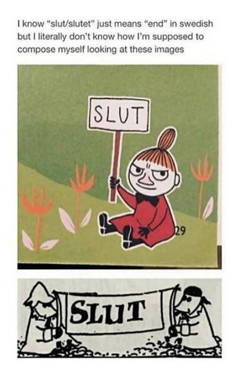 A Curated Collection of Random Gems from My Meme Library