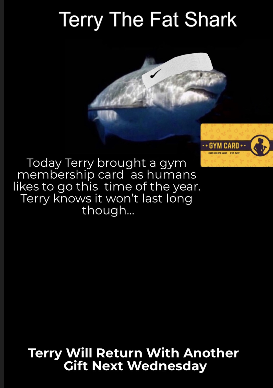 Terry's Special Wednesday Surprise Awaits!