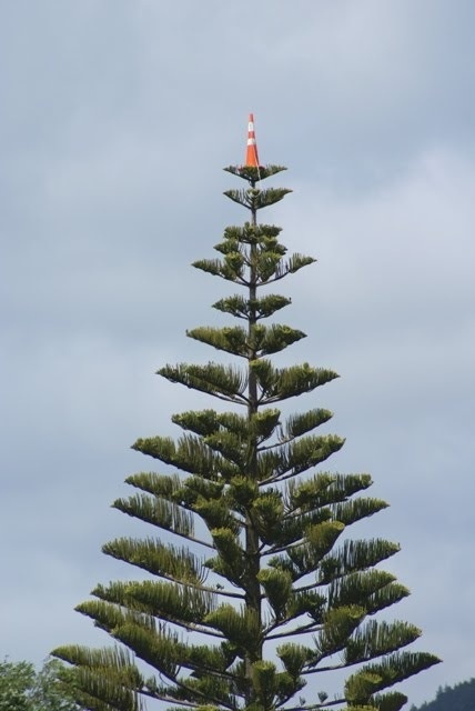 How Did They Even Get That Up There?