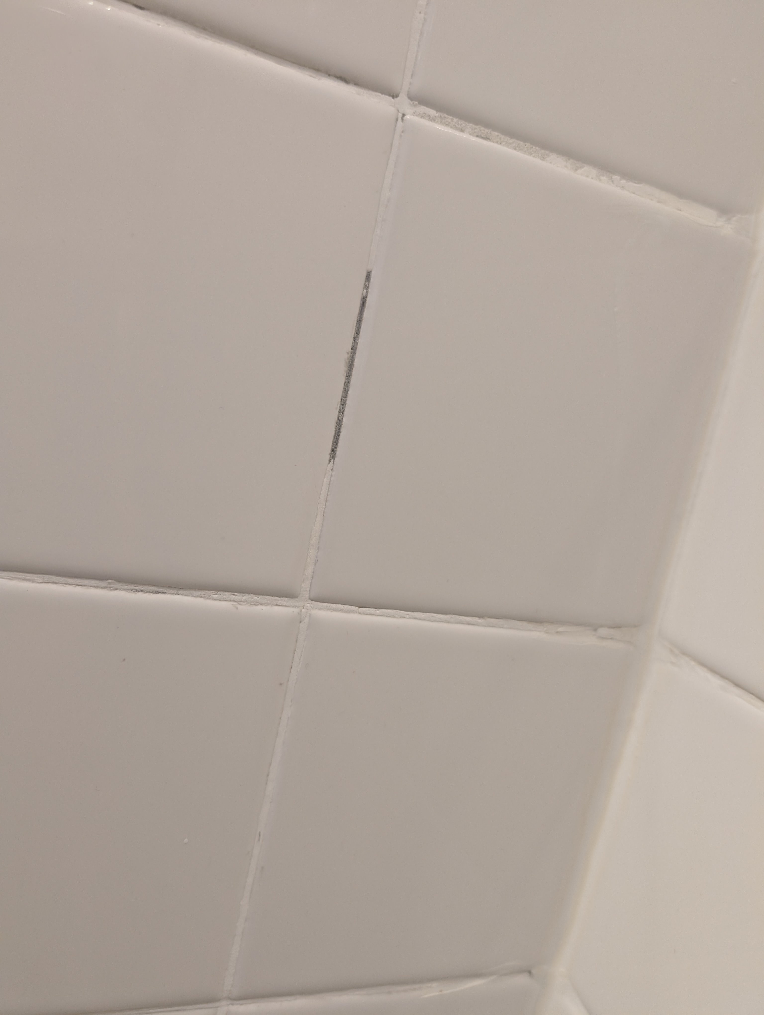 The Struggle of Missing or Discolored Grout