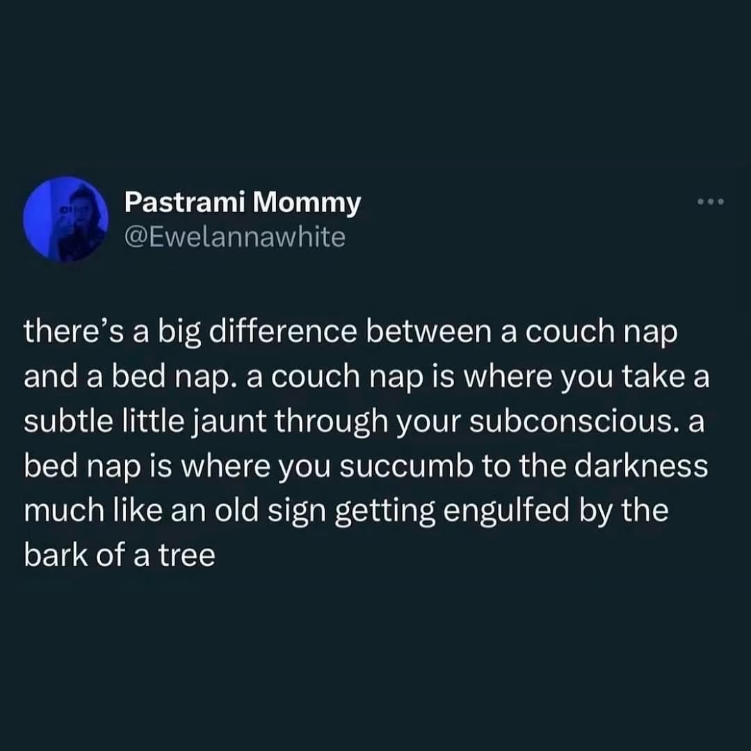 Imgur: Time for a Quick Nap