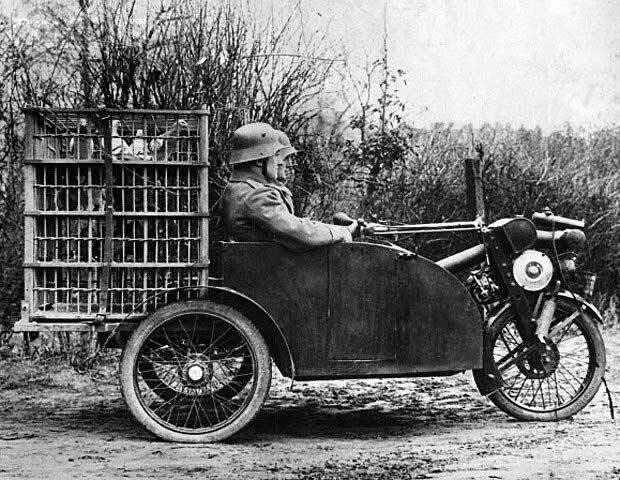 Exploring a Unique German WWI Vehicle Designed for Carrier Pigeons