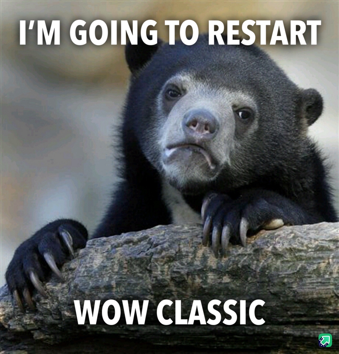 I’m Absolutely Serious About This!