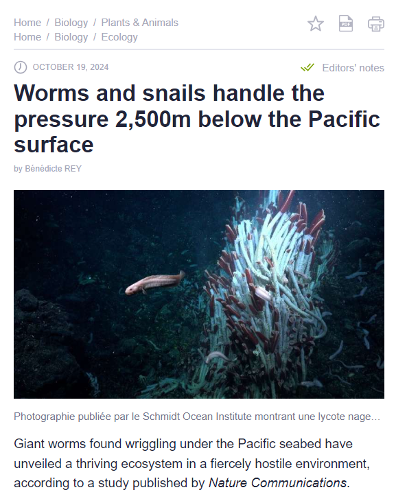 Dive into the Depths: A Journey Under the Sea (2 Images)