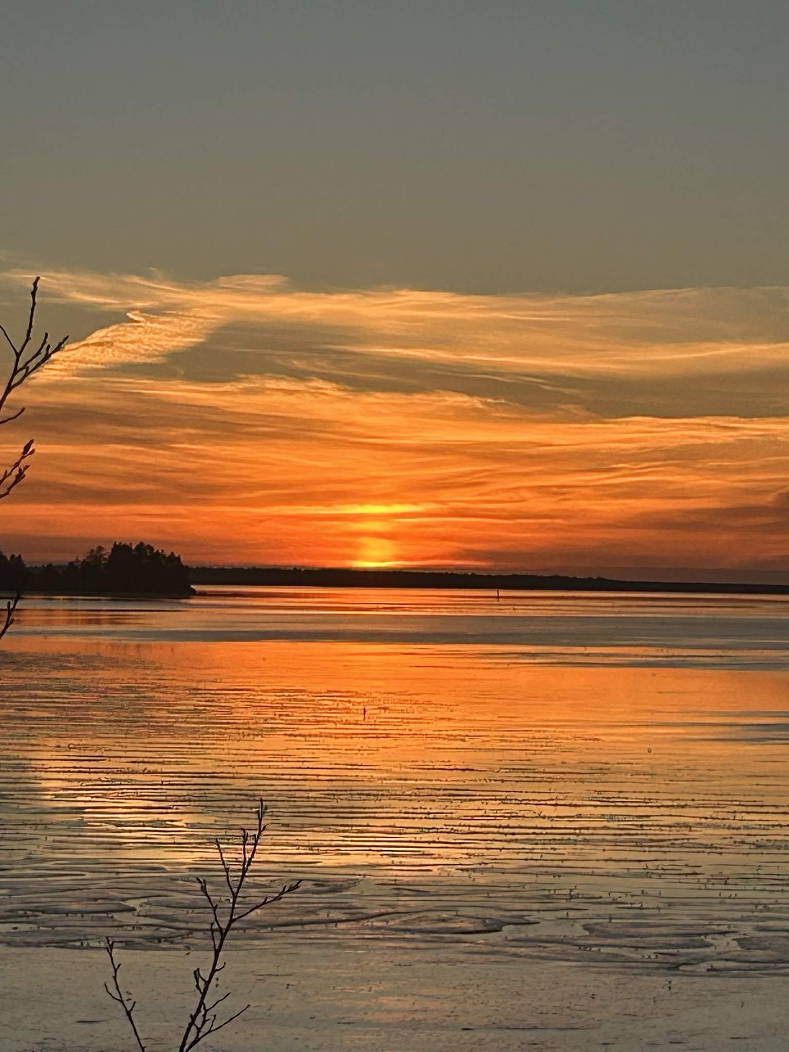 Holding onto Hope: The Sun Will Shine Again Tomorrow Amidst Personal Struggles