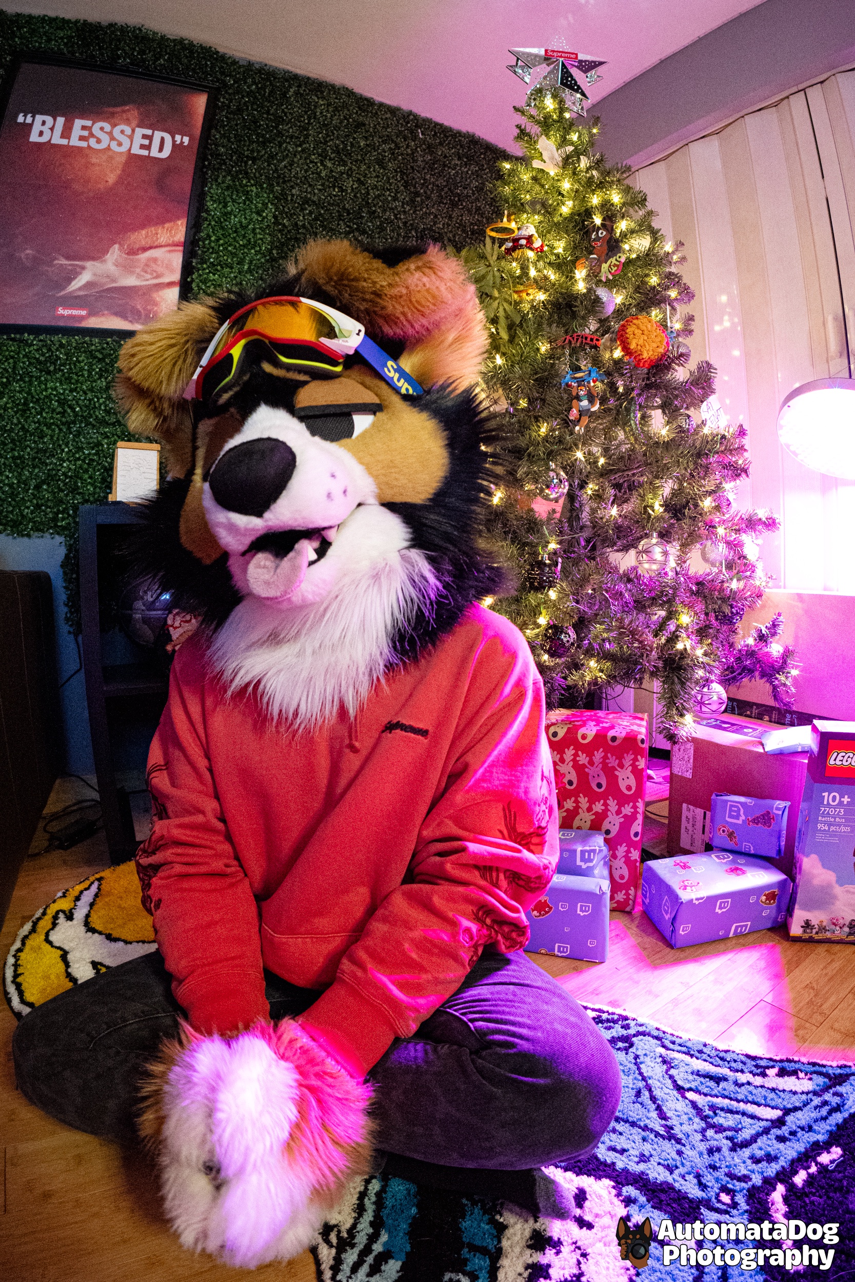 A furry photographer's daily capture - Day 451