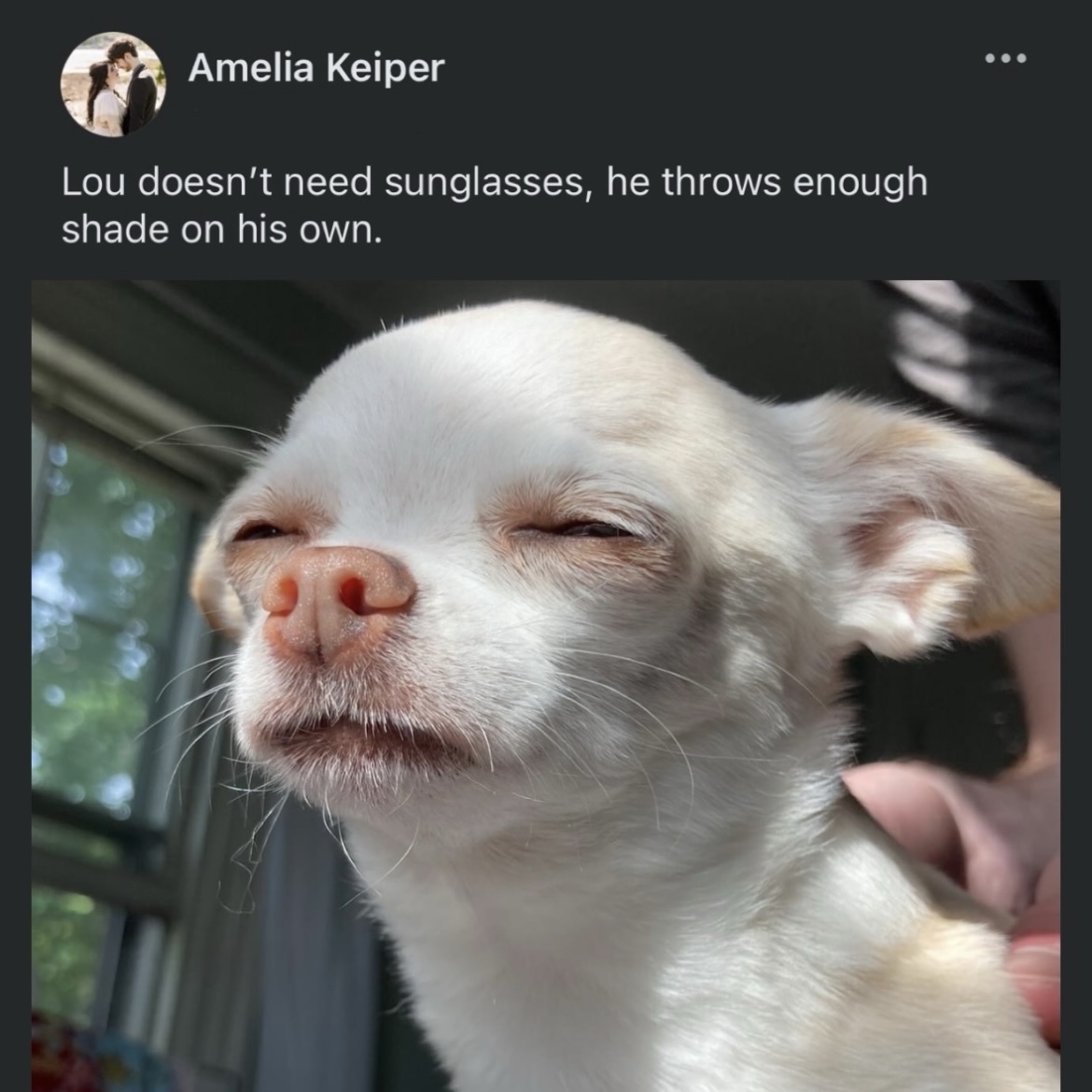 Meme Extravaganza Volume 17
