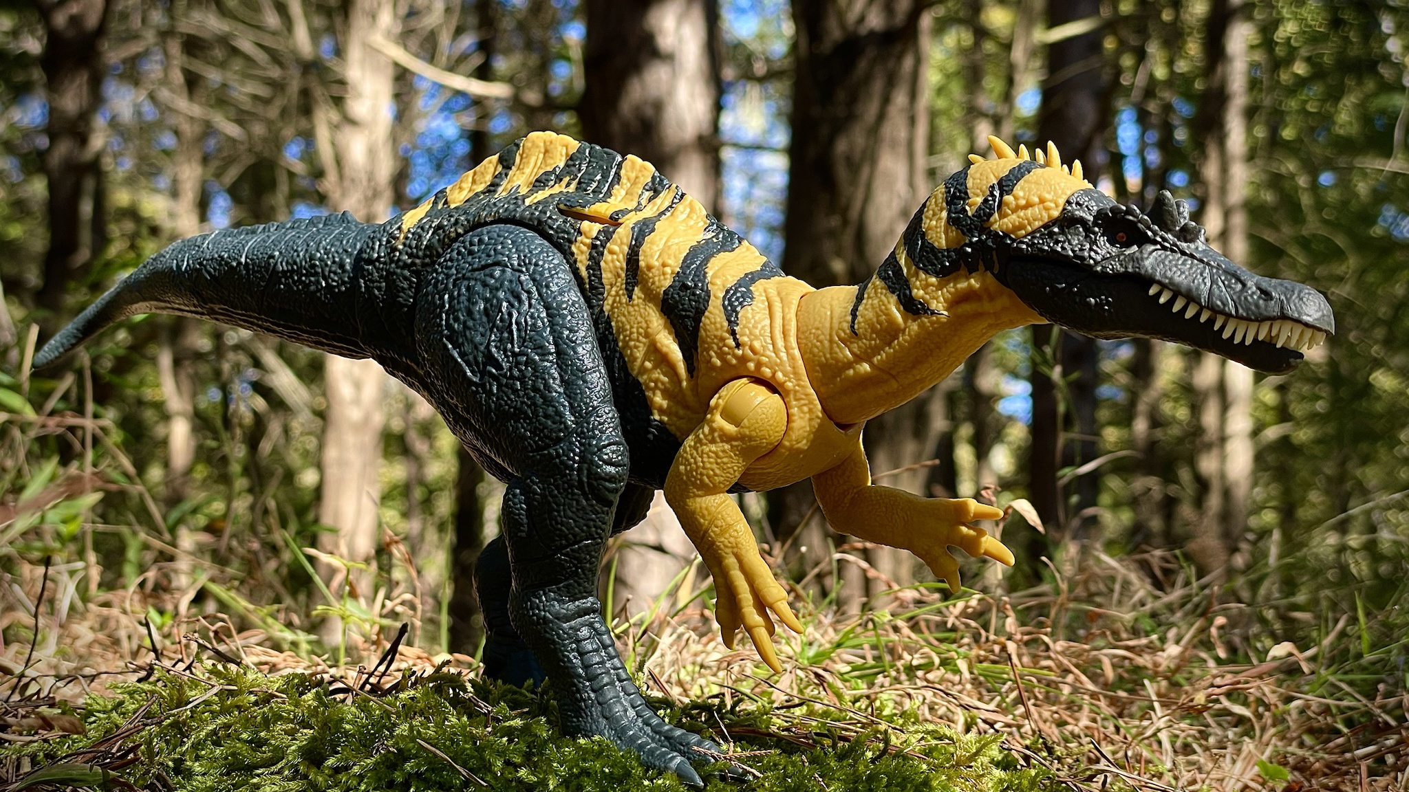 Meet Ceratosuchops: The Ancient Predator