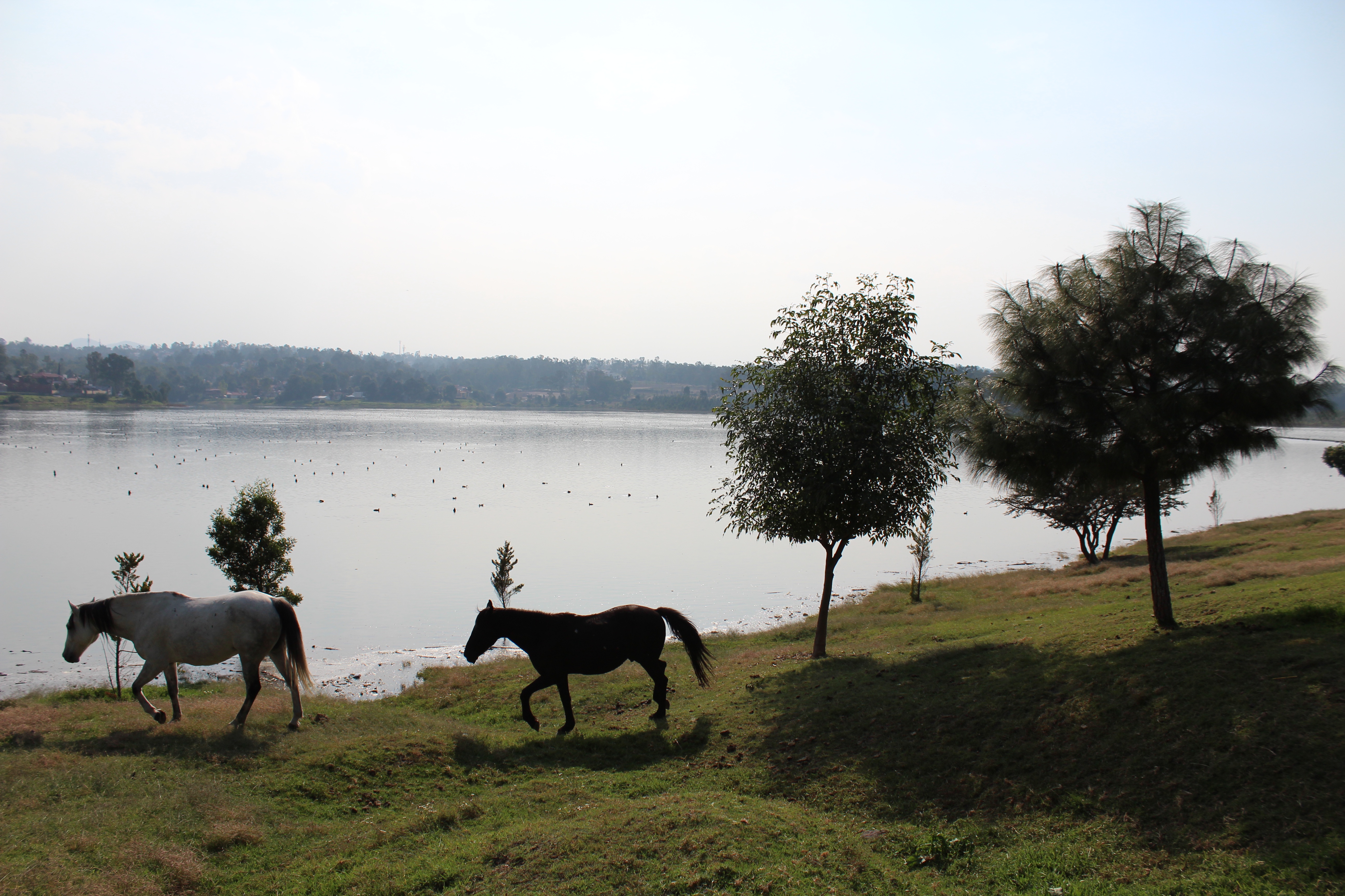 The Serene Lago de Guadalupe Awaits