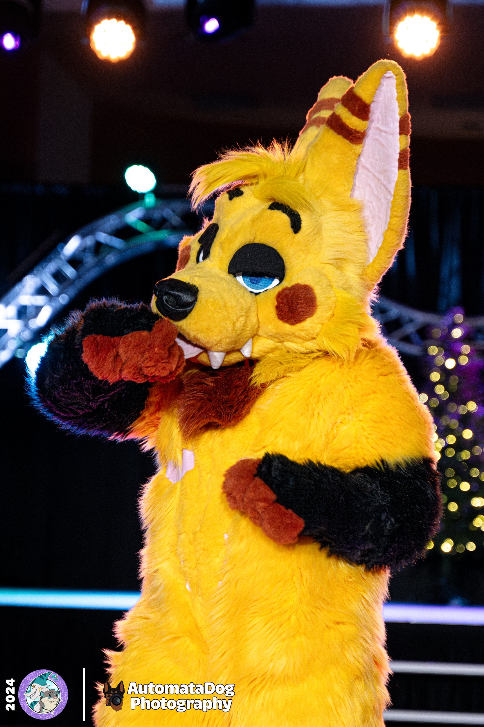 A Daily Snapshot from a Furry Photographer - Day 432