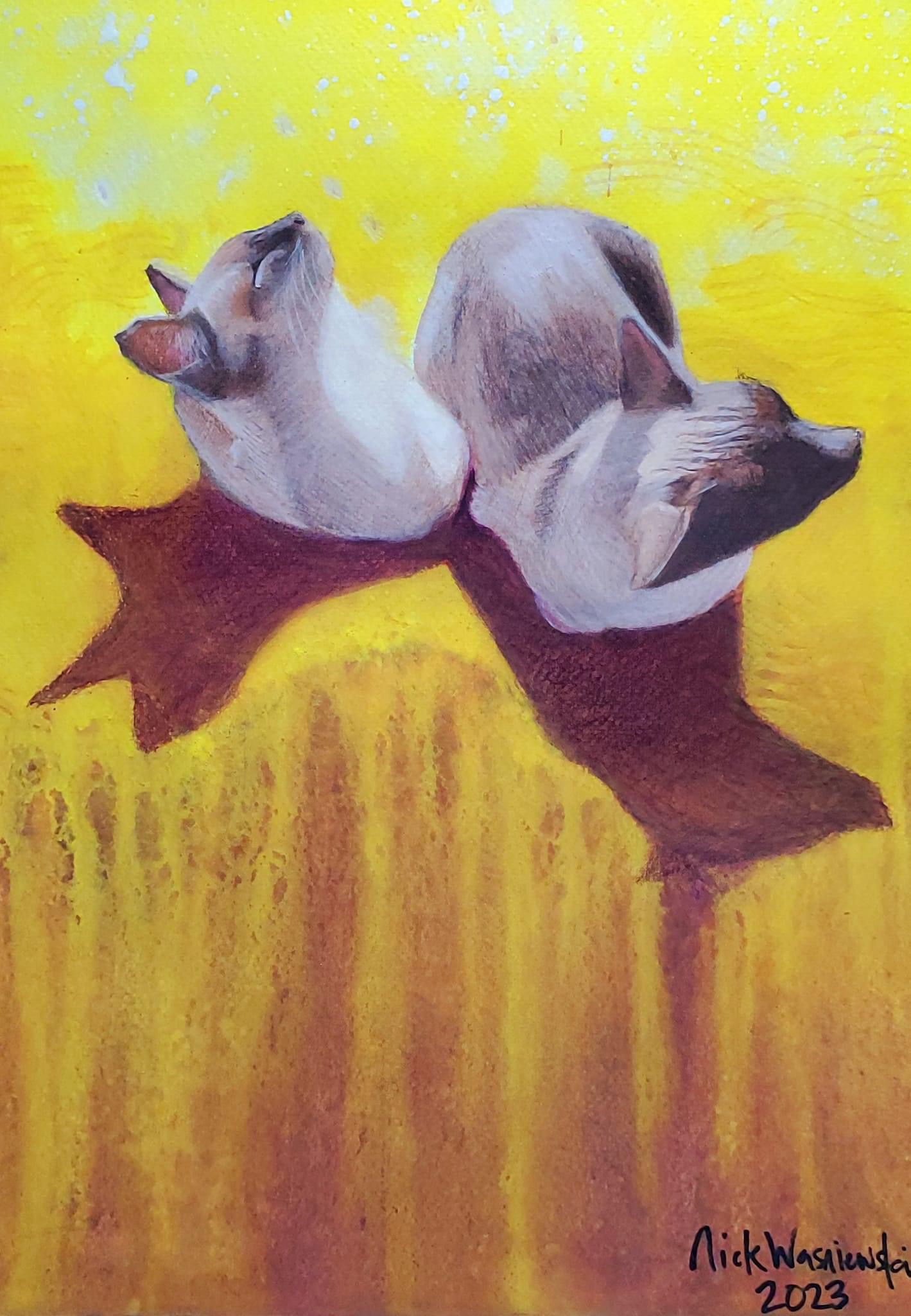 The Enigmatic World of Cats