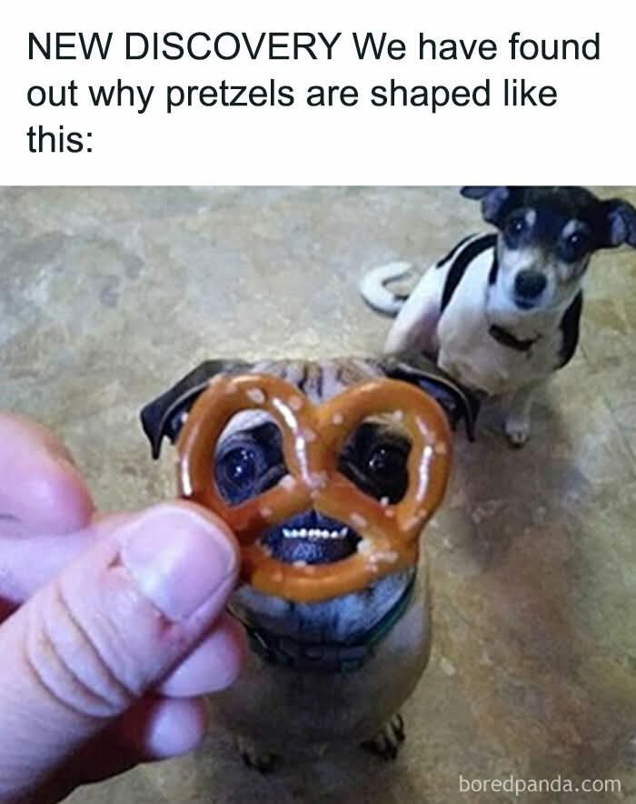 A Brilliant Idea or Just Plain Crazy?